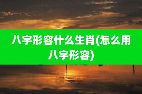 八字形容什么生肖(怎么用八字形容)