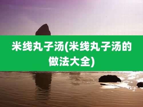 米线丸子汤(米线丸子汤的做法大全)