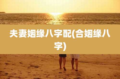 夫妻姻缘八字配(合姻缘八字)