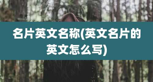 名片英文名称(英文名片的英文怎么写)