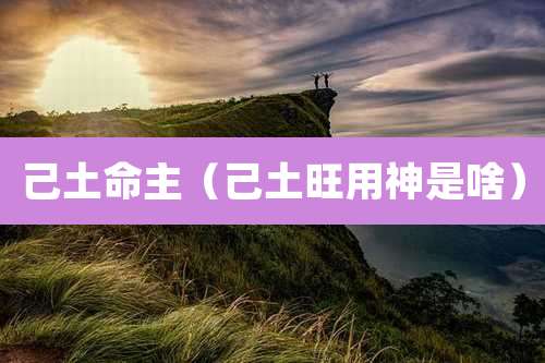 己土命主（己土旺用神是啥）