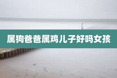 属狗爸爸属鸡儿子好吗女孩