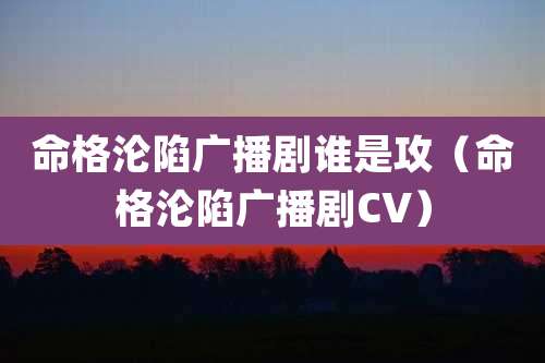 命格沦陷广播剧谁是攻（命格沦陷广播剧CV）