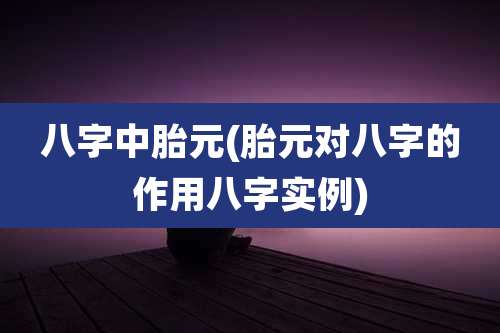 八字中胎元(胎元对八字的作用八字实例)