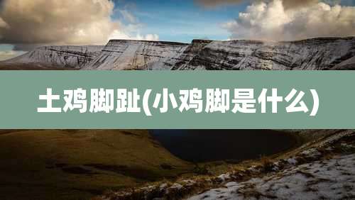 土鸡脚趾(小鸡脚是什么)
