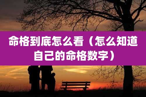 命格到底怎么看（怎么知道自己的命格数字）