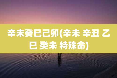 辛未癸巳己卯(辛未 辛丑 乙巳 癸未 特殊命)