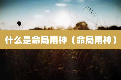 什么是命局用神（命局用神）