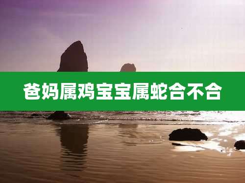 爸妈属鸡宝宝属蛇合不合