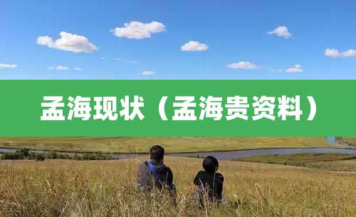 孟海现状（孟海贵资料）