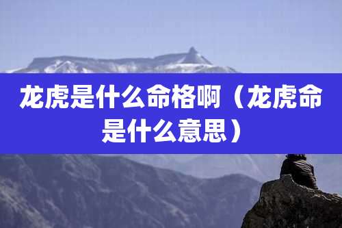 龙虎是什么命格啊（龙虎命是什么意思）