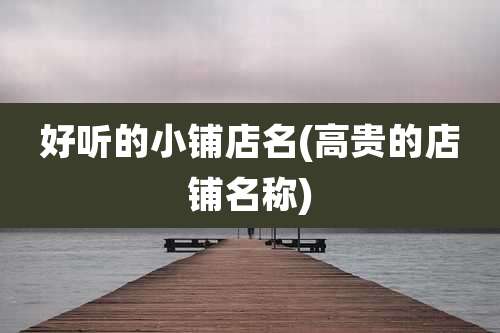 好听的小铺店名(高贵的店铺名称)