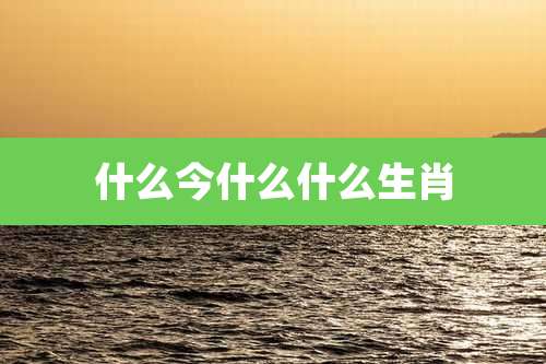 什么今什么什么生肖