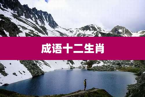 成语十二生肖
