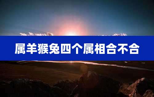 属羊猴兔四个属相合不合