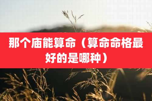 那个庙能算命（算命命格最好的是哪种）