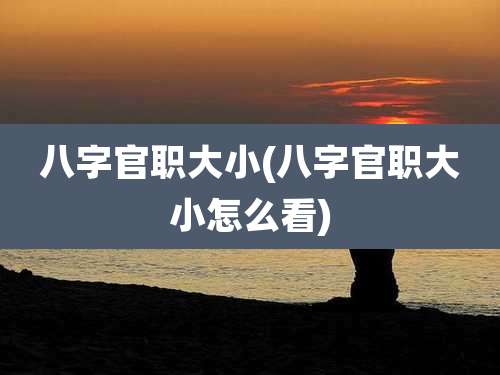 八字官职大小(八字官职大小怎么看)