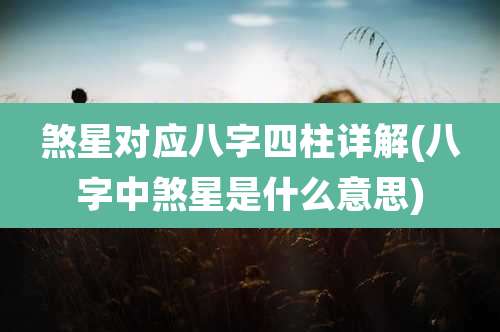 煞星对应八字四柱详解(八字中煞星是什么意思)