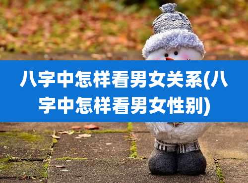 八字中怎样看男女关系(八字中怎样看男女性别)