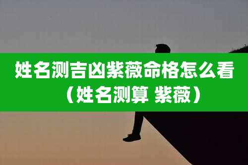 姓名测吉凶紫薇命格怎么看（姓名测算 紫薇）