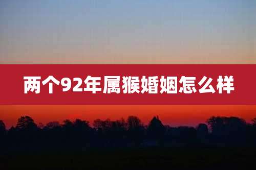 两个92年属猴婚姻怎么样