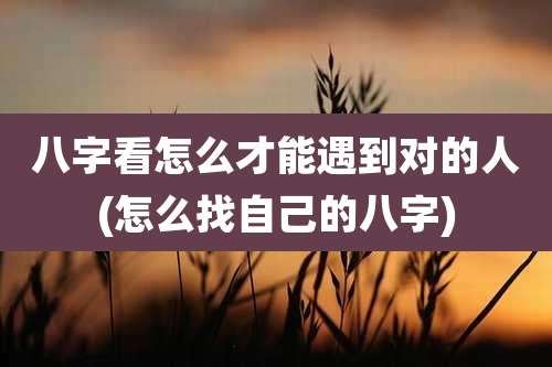 八字看怎么才能遇到对的人(怎么找自己的八字)