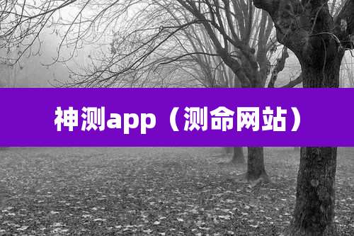 神测app（测命网站）