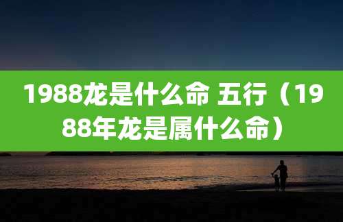 1988龙是什么命 五行（1988年龙是属什么命）