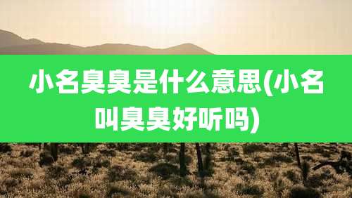 小名臭臭是什么意思(小名叫臭臭好听吗)