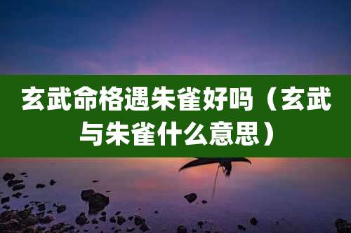 玄武命格遇朱雀好吗（玄武与朱雀什么意思）