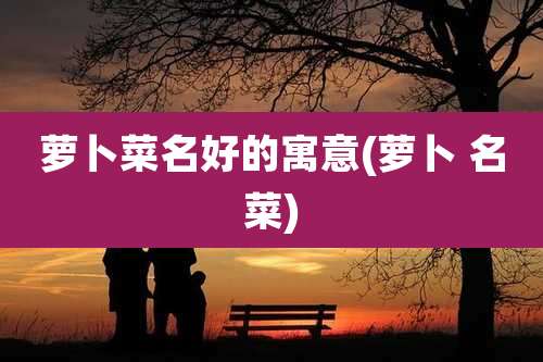 萝卜菜名好的寓意(萝卜 名菜)