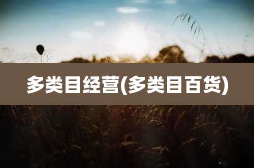 多类目经营(多类目百货)