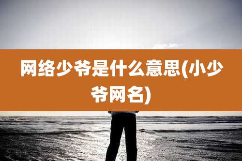 网络少爷是什么意思(小少爷网名)