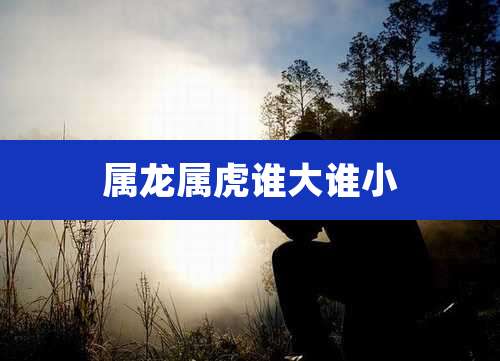 属龙属虎谁大谁小