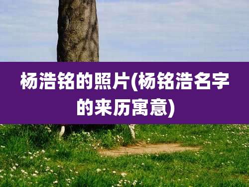 杨浩铭的照片(杨铭浩名字的来历寓意)