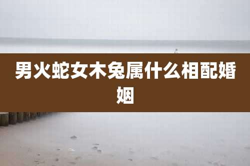 男火蛇女木兔属什么相配婚姻