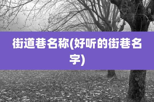 街道巷名称(好听的街巷名字)