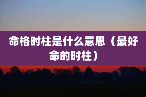 命格时柱是什么意思（最好命的时柱）