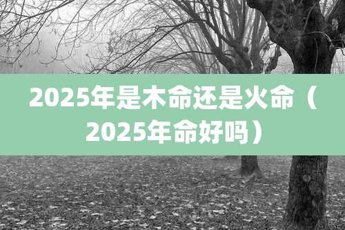 2025年是木命还是火命（2025年命好吗）