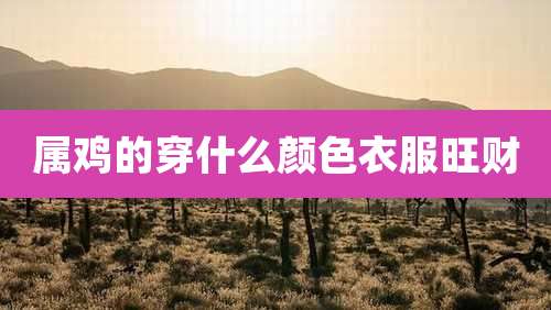 属鸡的穿什么颜色衣服旺财