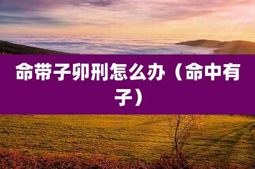 命带子卯刑怎么办（命中有子）