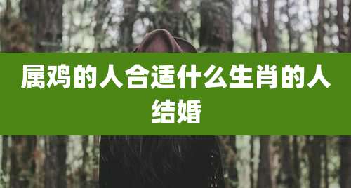 属鸡的人合适什么生肖的人结婚