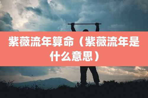 紫薇流年算命（紫薇流年是什么意思）