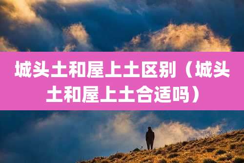 城头土和屋上土区别（城头土和屋上土合适吗）