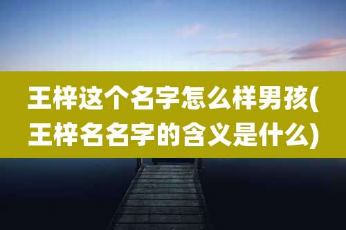 王梓这个名字怎么样男孩(王梓名名字的含义是什么)