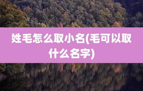 姓毛怎么取小名(毛可以取什么名字)