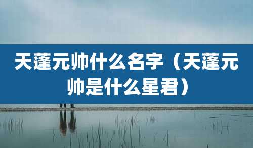 天蓬元帅什么名字（天蓬元帅是什么星君）