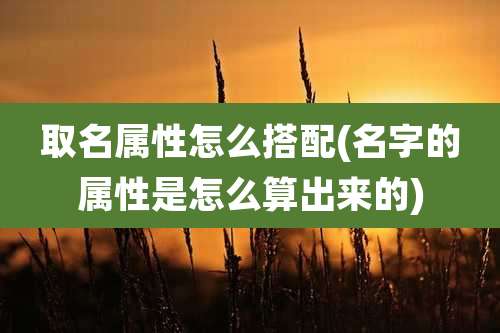 取名属性怎么搭配(名字的属性是怎么算出来的)