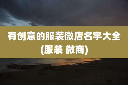 有创意的服装微店名字大全(服装 微商)