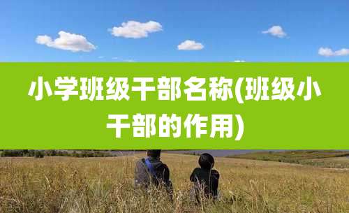 小学班级干部名称(班级小干部的作用)